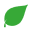 Project Pura